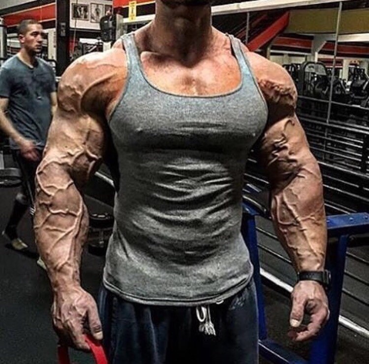 Watch Frank Mcgrath The Most Vascular Bodybuilder Of All Times