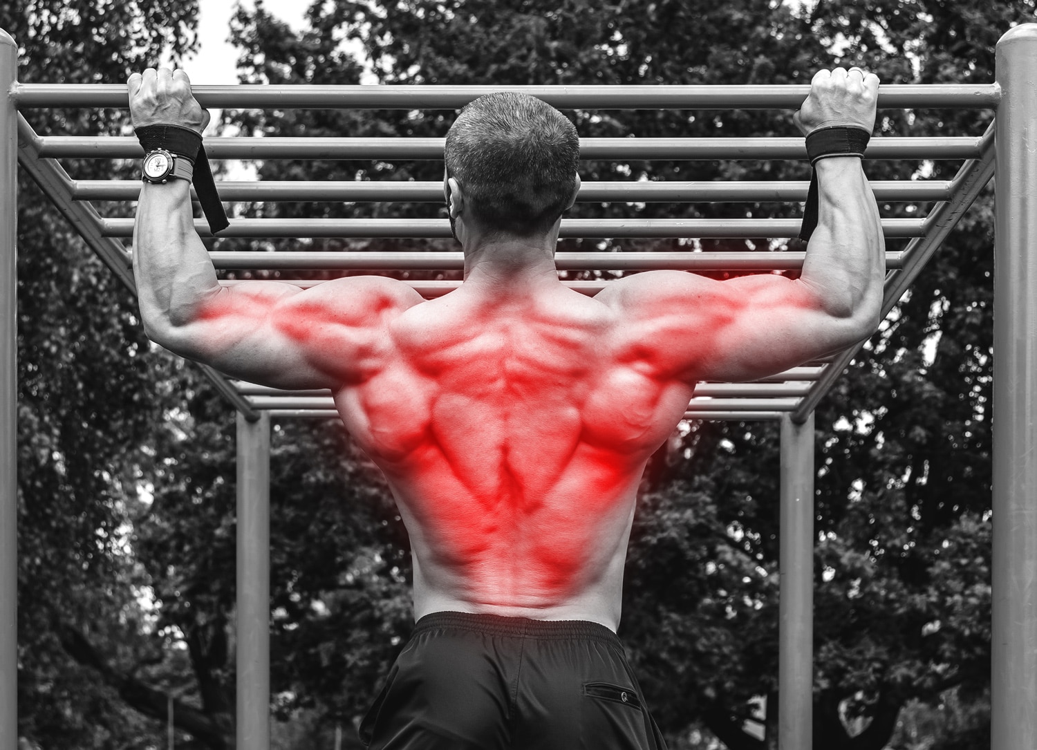 Forearm Pull Up Pain Causes Treatment And How To Avoid Fitness Volt