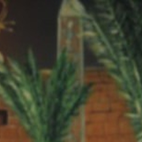 Ericka Biagioni profile photo