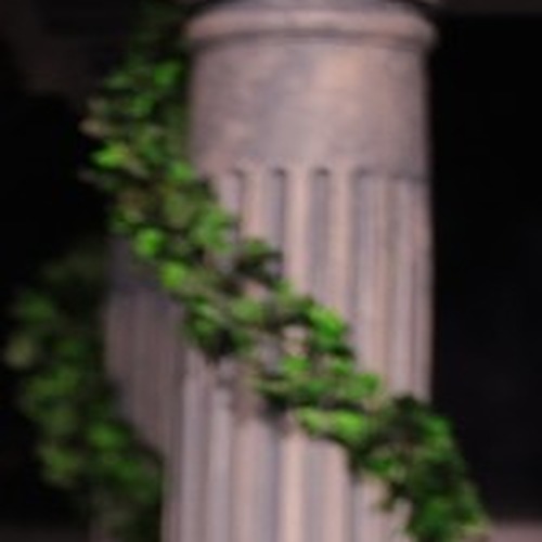 Theresa Knepshield profile photo
