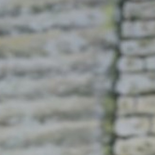 Sonya Hamilton profile photo