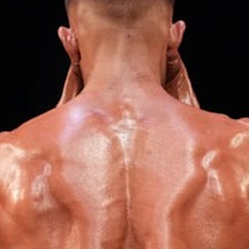 Andrew Serkanic profile photo