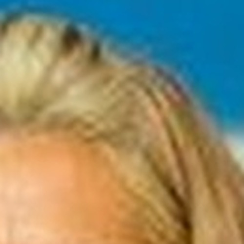 Sally Williams profile photo