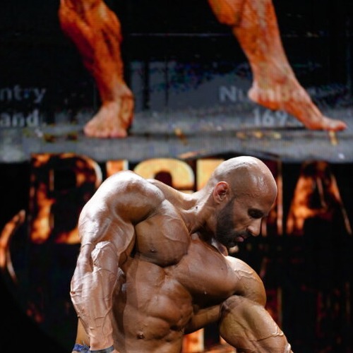 Simon Lada profile photo