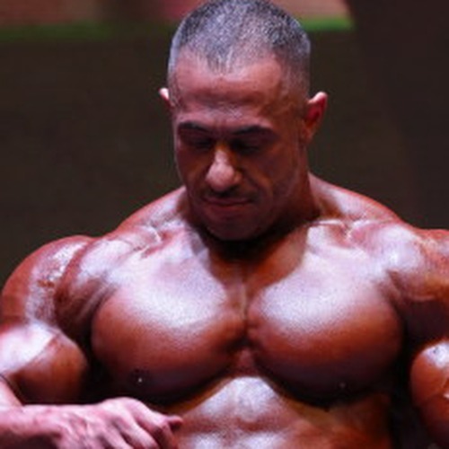 Abolfazl Mashayekhi profile photo