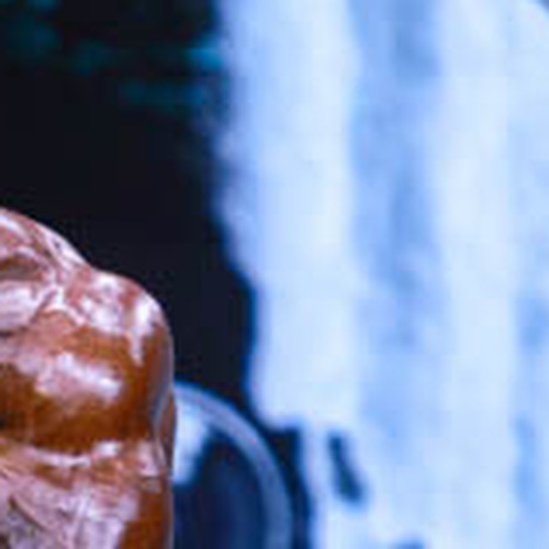 Carlos Thomas Jr. profile photo