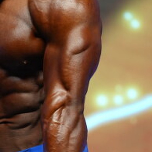 Lucas Fonseca profile photo