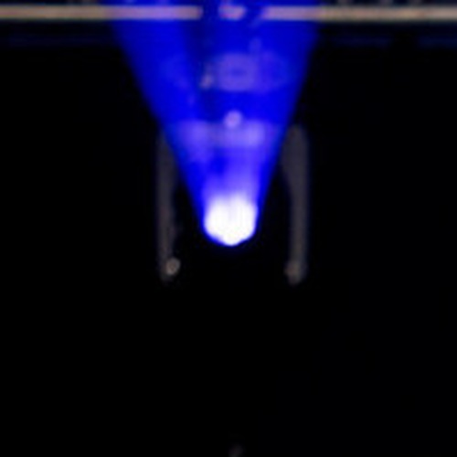 David Schneider profile photo