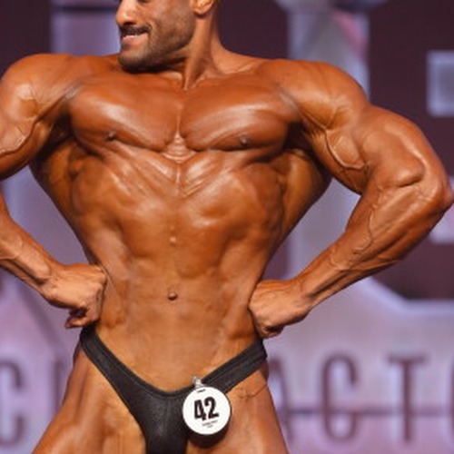 Ramadan El Sherkawy profile photo