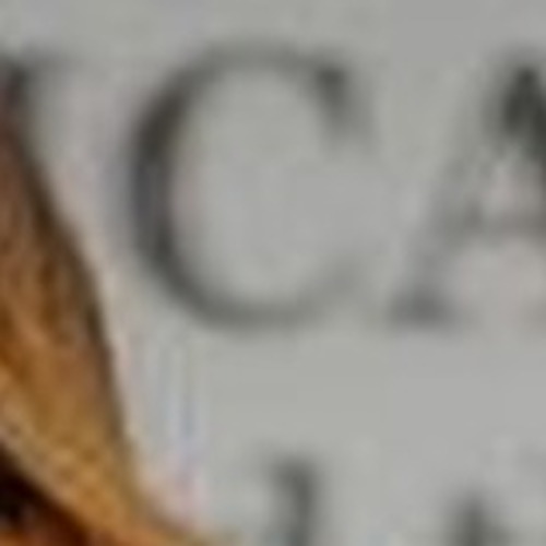 Paola Freeman profile photo