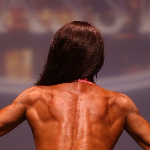Debbie Gagliardi profile photo