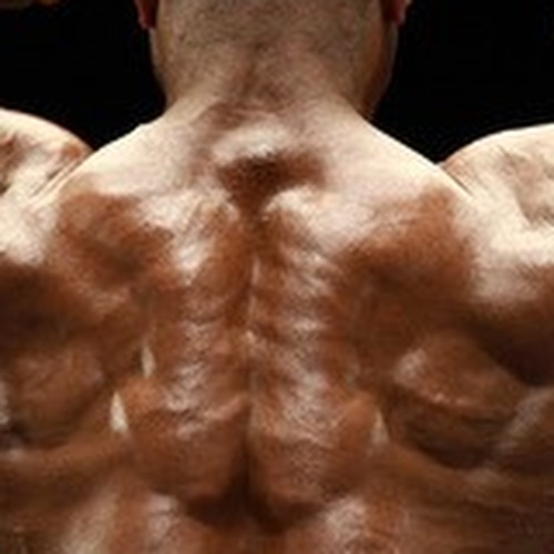 Roosevelt Woodard profile photo