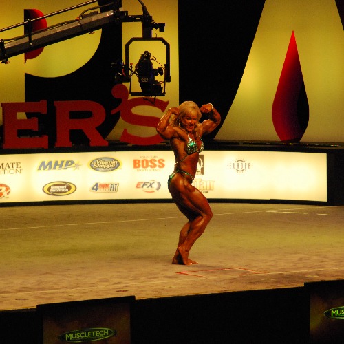 Lisa Aukland
