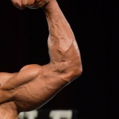 Brian Chekoff profile photo