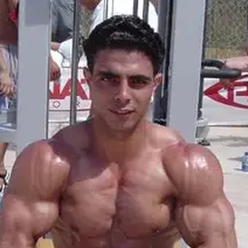 Tamer El Shahat profile photo