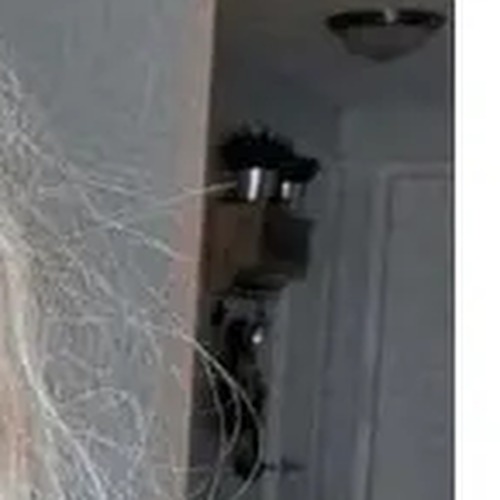 Shirley Anne Stretton profile photo