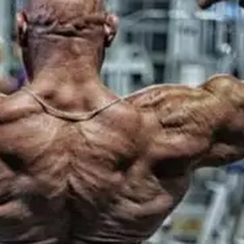 Orazio Salvatori profile photo