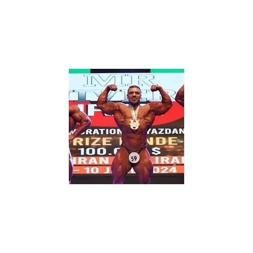 Mehdi Khaneghani profile photo