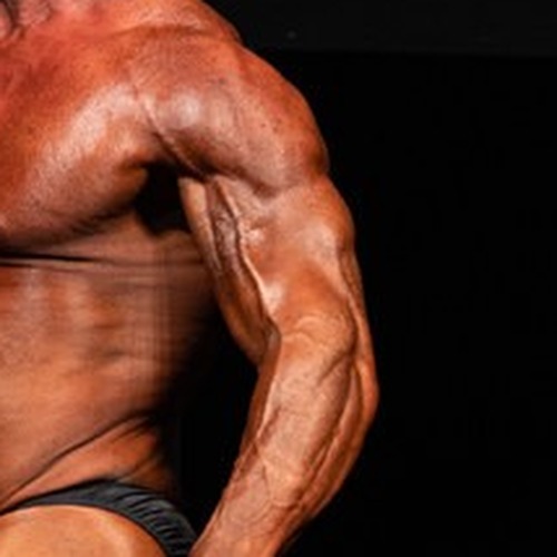 Chris Myers profile photo