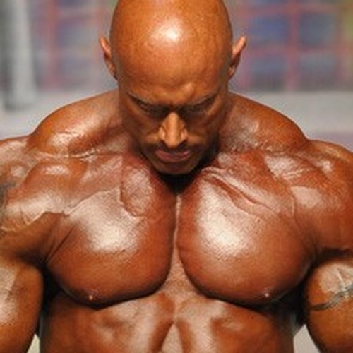 Mark Antonek profile photo