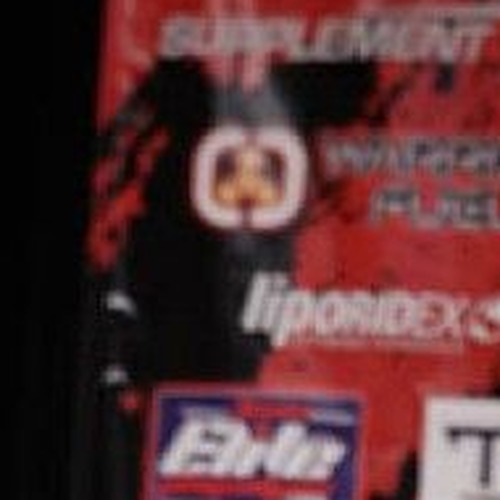Lisa Haas profile photo