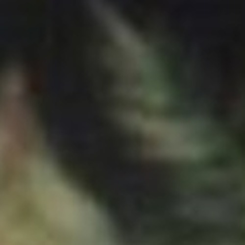 Jermichael Pratt profile photo