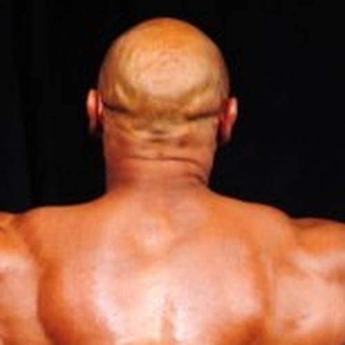 Michael Termini profile photo