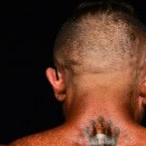 Anthony Tedesco profile photo