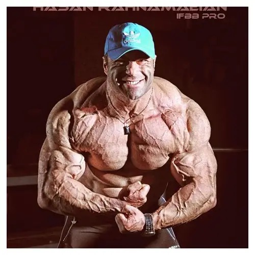 Hasan Rahnamaeian