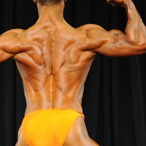 Salvatore Bachman profile photo