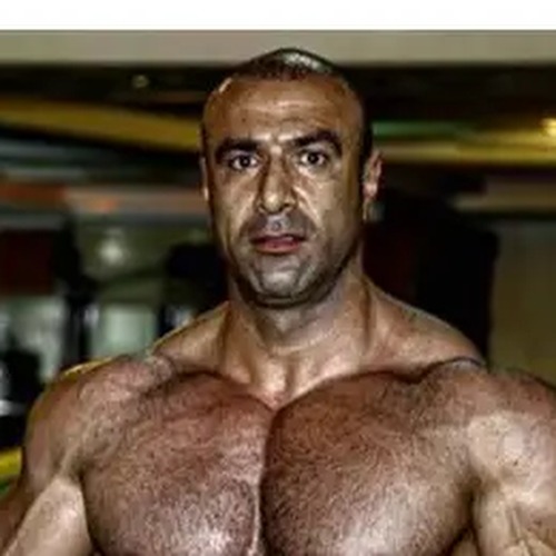 Mohsen Ghorannevis profile photo