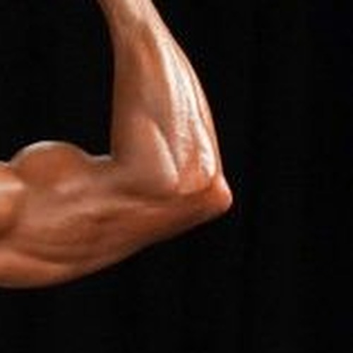 David Mojica profile photo