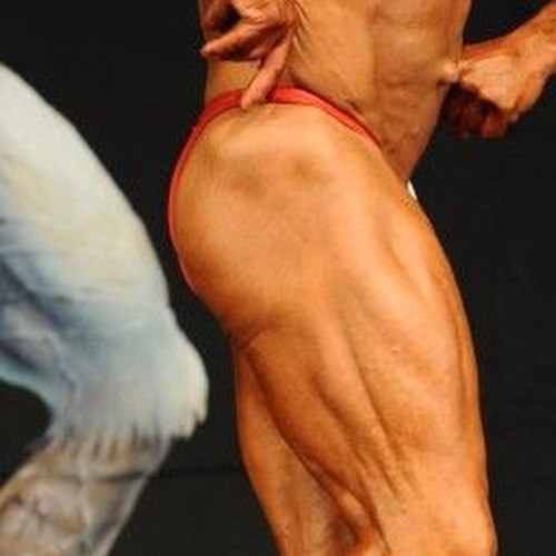 Wade Wilburn profile photo