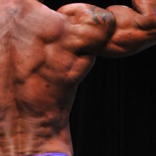 Hans Vogel profile photo