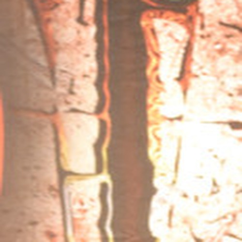 Melissa Fisher profile photo