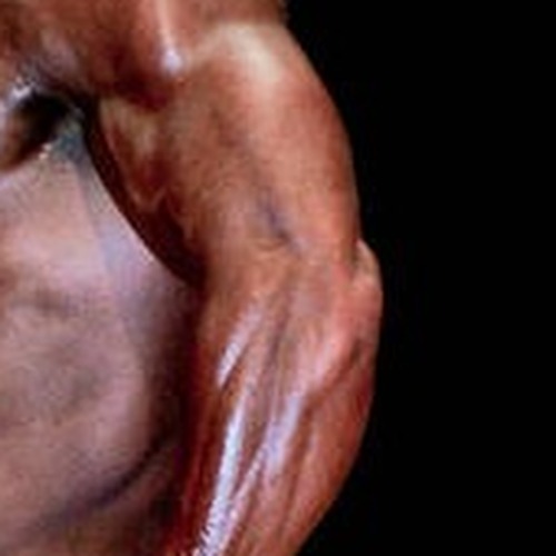 Joey Gaynor profile photo