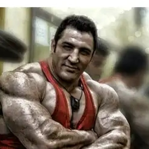 Reza Zinatlov profile photo