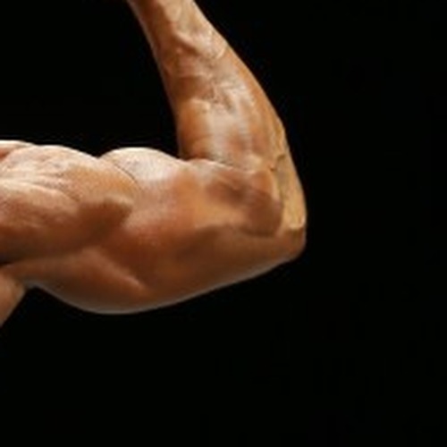 Lisa Fonseca profile photo