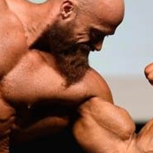 Gherman Bolgar profile photo