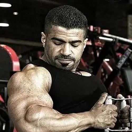 Adel Mohammad profile photo