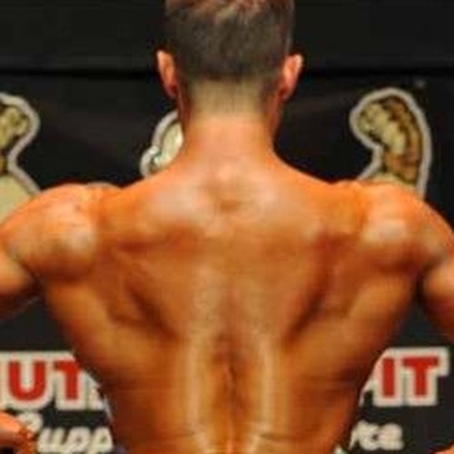 Shane Freels profile photo
