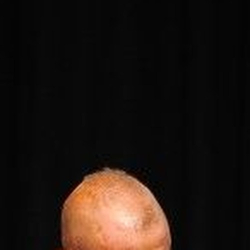Cory Gingold profile photo
