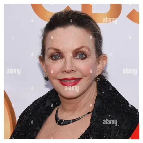 Judith Chapman profile photo