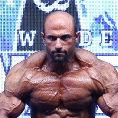 Mobin Rostamian profile photo
