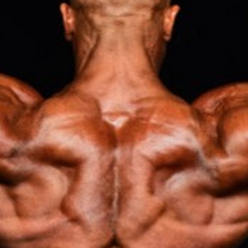 Brad Vlmer profile photo