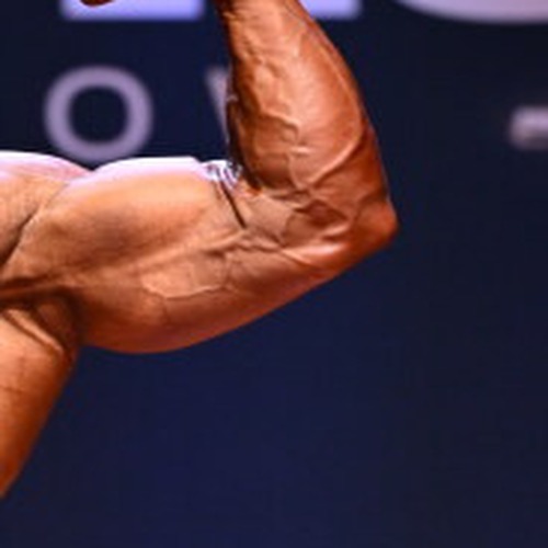 Joshua Langbein profile photo