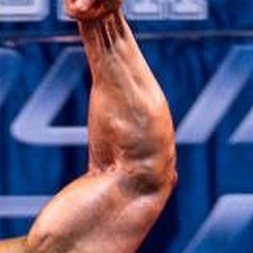 Kyle Hopkins profile photo