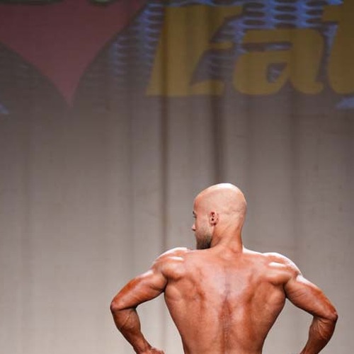 Chris Harms