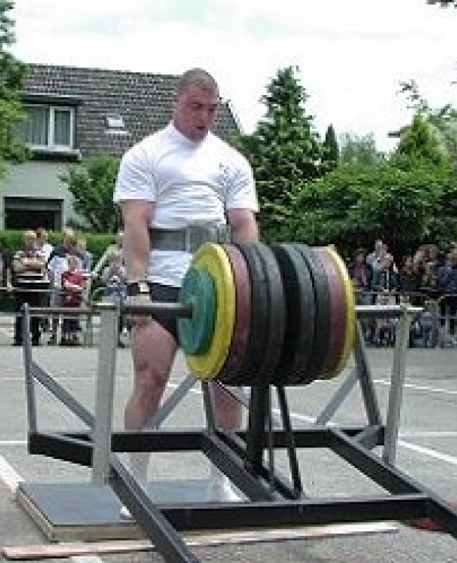 Robin Bos profile photo