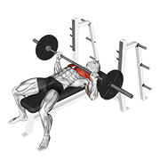 Bench Press